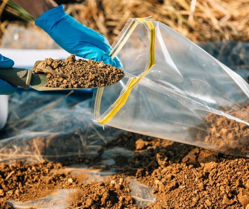 Soil Testing Takes Planning Before Planting Soil Testing Takes Planning Before Planting
