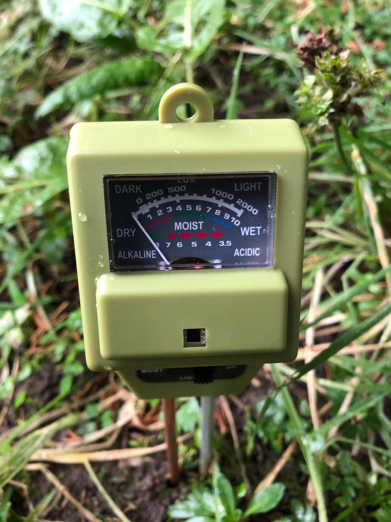 Soil That Is Too Alkaline Soil That Is Too Alkaline