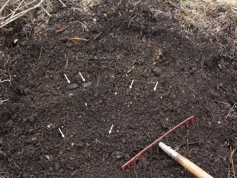 Soil Types Across Missouri And How They Hold Moisture
