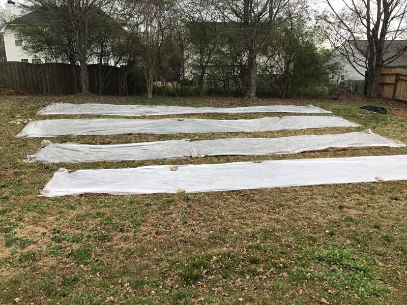 Solarize Soil Before Replanting