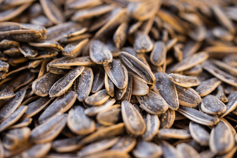 Sow Seeds After Your Last Frost Date Sow Seeds After Your Last Frost Date
