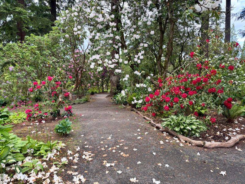 Space Shrubs Wide To Avoid Crowded Corners