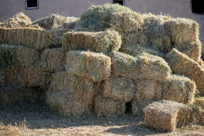 Spoiled Hay Bales