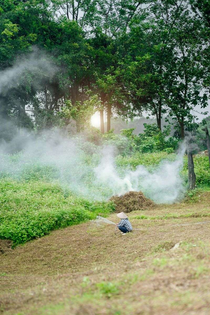 Spraying Mosquito Foggers