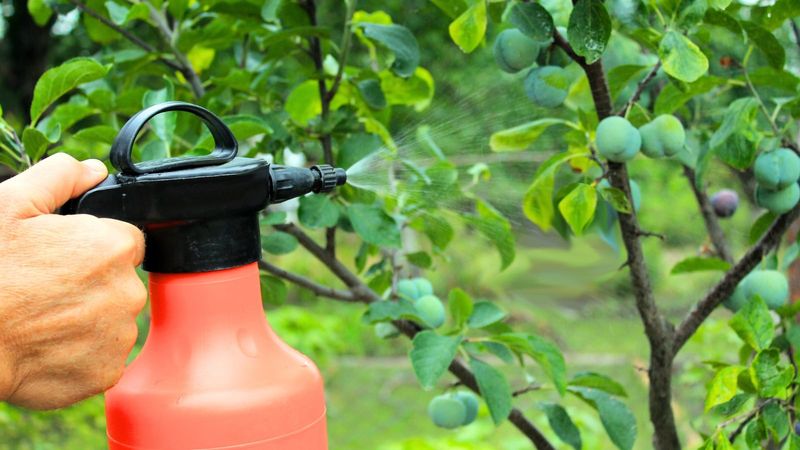 Spraying Oils During Extreme Temperatures Spraying Oils During Extreme Temperatures