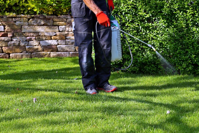 Spraying Pesticides When Flowers Are In Bloom Spraying Pesticides When Flowers Are In Bloom