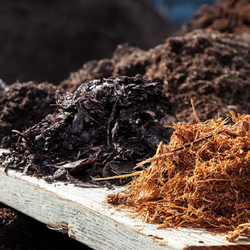 Spread Mulch Two To Four Inches Deep To Slow Water Loss Spread Mulch Two To Four Inches Deep To Slow Water Loss