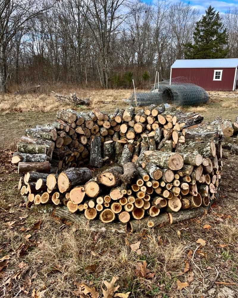 Stack Firewood In A Dry Spot