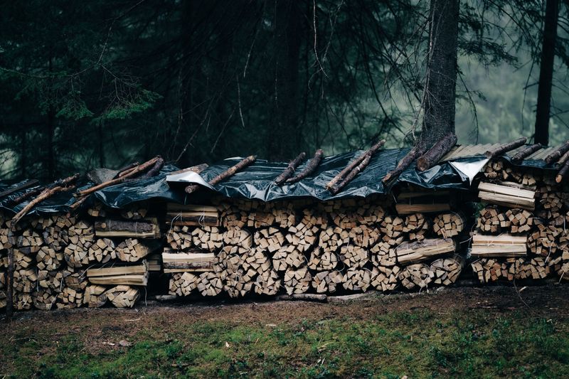 Stacking Firewood In Damp Or Shaded Spots Stacking Firewood In Damp Or Shaded Spots