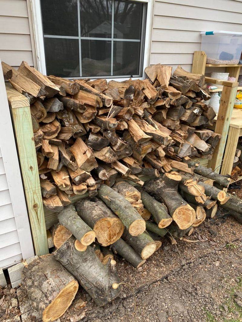 Stacking Firewood Near Borders Invites Tick-Carrying Wildlife Closer Stacking Firewood Near Borders Invites Tick-Carrying Wildlife Closer