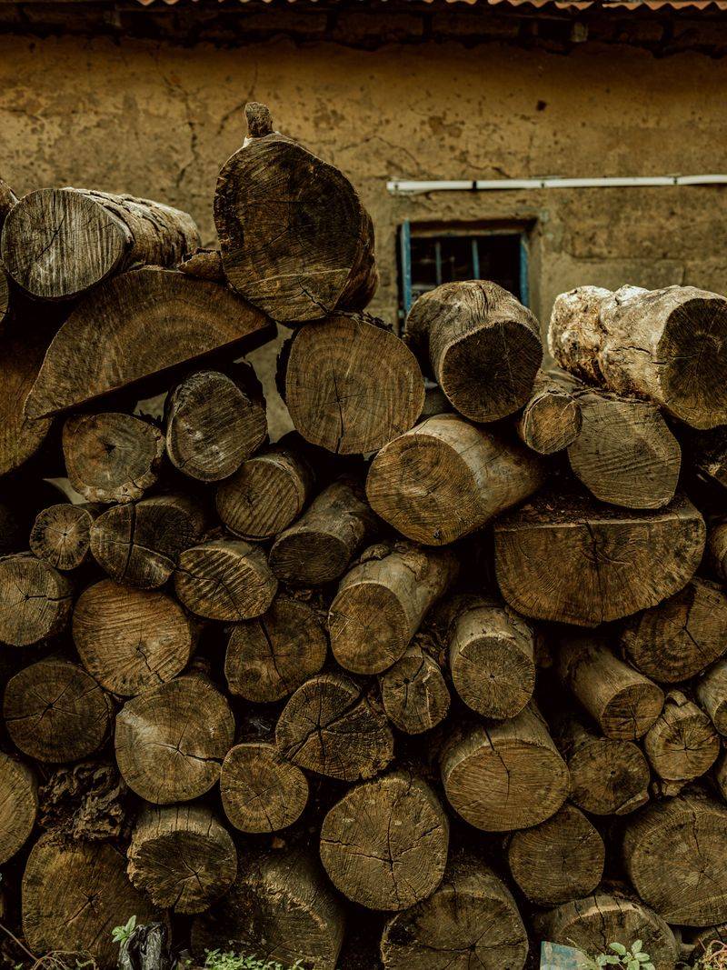 Stacking Wood Carelessly Near The House Stacking Wood Carelessly Near The House