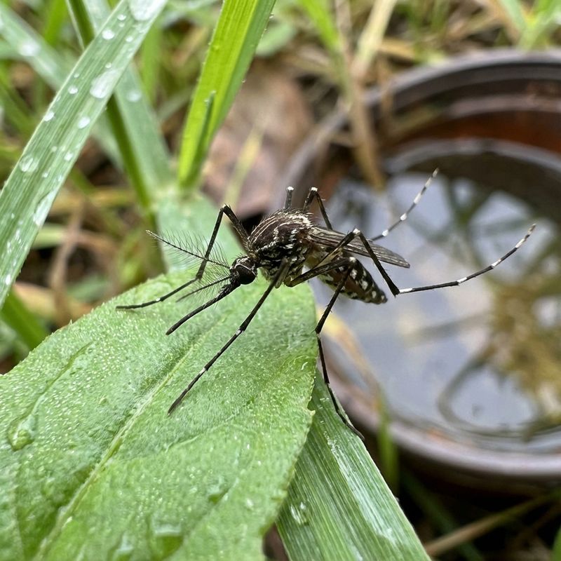 Standing Water Still Matters Most