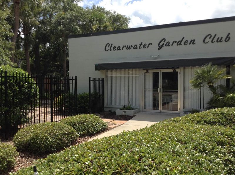 Start At Clearwater Garden Club’s Plant Sale Start At Clearwater Garden Club’s Plant Sale