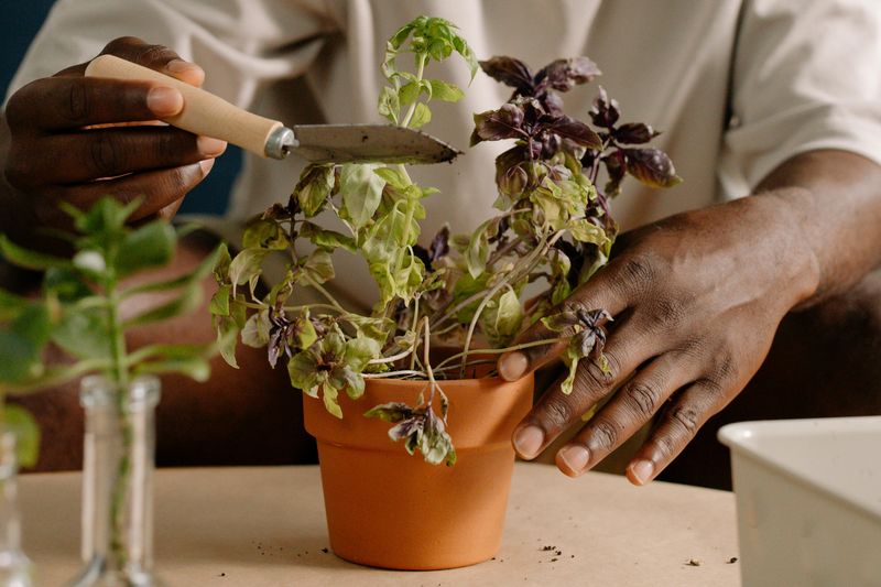 Start Pruning Early
