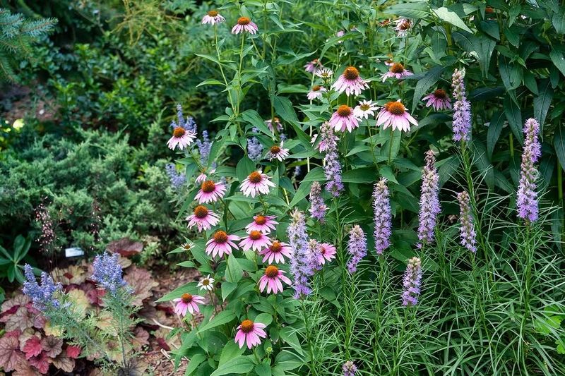Start With Native Plants Start With Native Plants