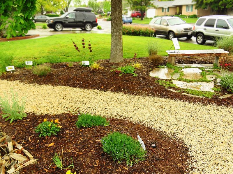 Stem Space Keeps Fresh Mulch From Causing Trouble