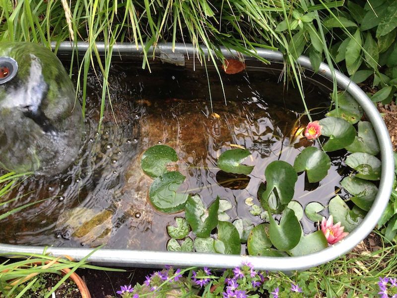 Stock Tank Ponds Hold Water Through The Hottest Months Stock Tank Ponds Hold Water Through The Hottest Months