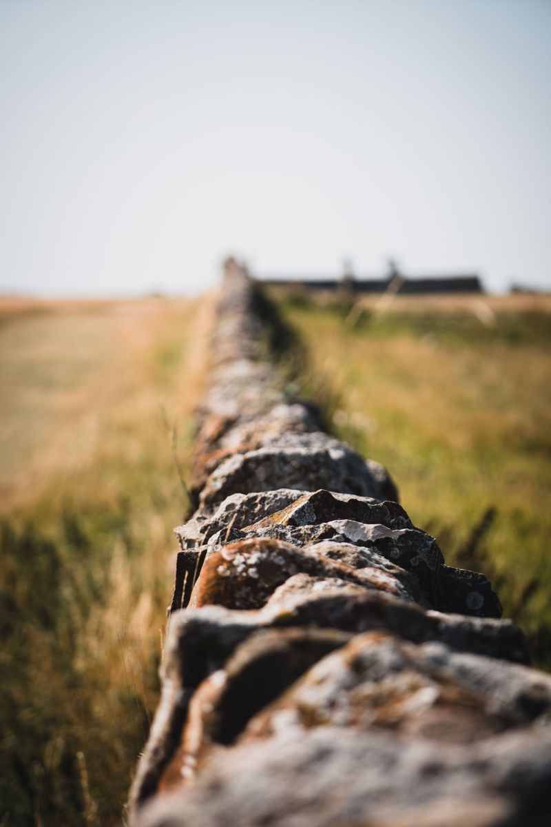 Stone Walls And Old Fences