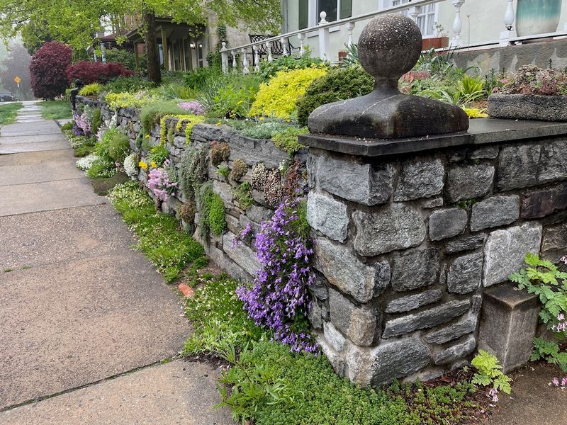 Stone Walls And Rock Borders