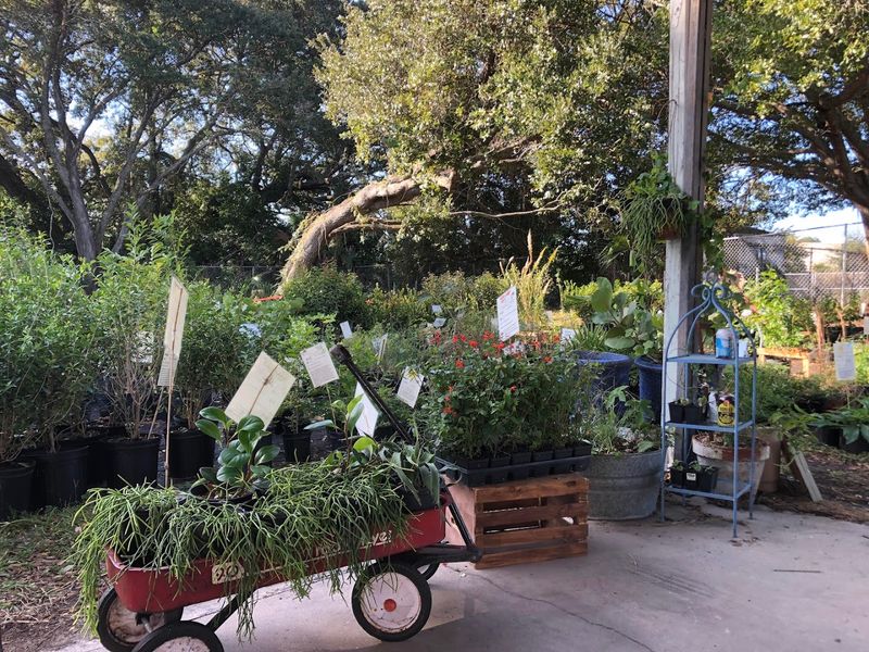 Stop At Plant Local In Lakeland Stop At Plant Local In Lakeland