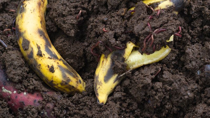Stop Treating Banana Peels Like A Miracle Bloom Fix