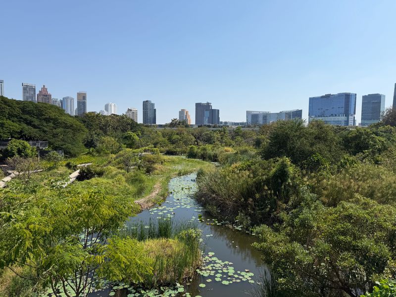 Storing Carbon And Absorbing Stormwater Naturally