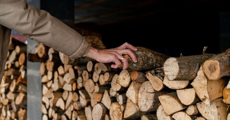 Storing Firewood In Damp Shaded Spots Storing Firewood In Damp Shaded Spots