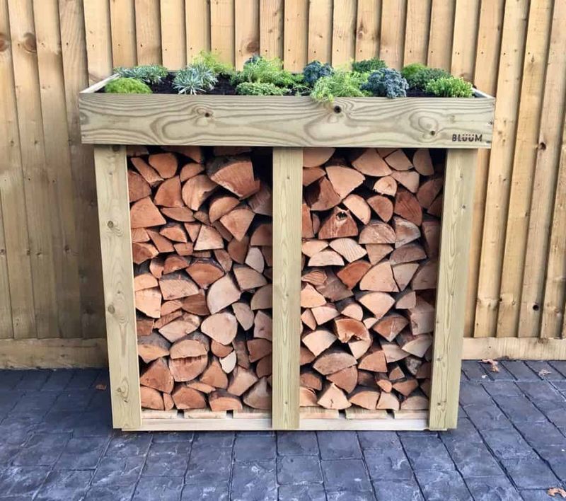 Storing Firewood In Shady Spots Near The House