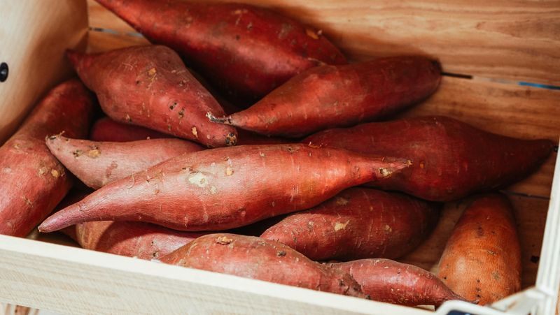 Storing Your Fall Harvest To Last Through Winter