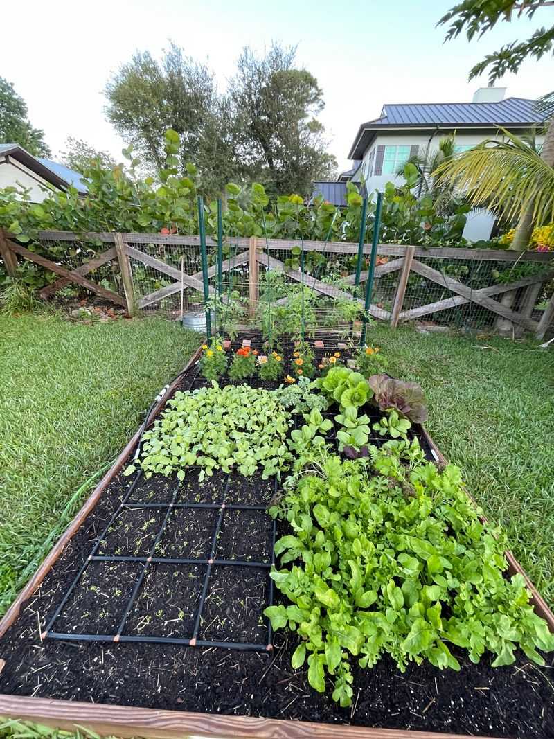 Summer Changes The Planting Rules