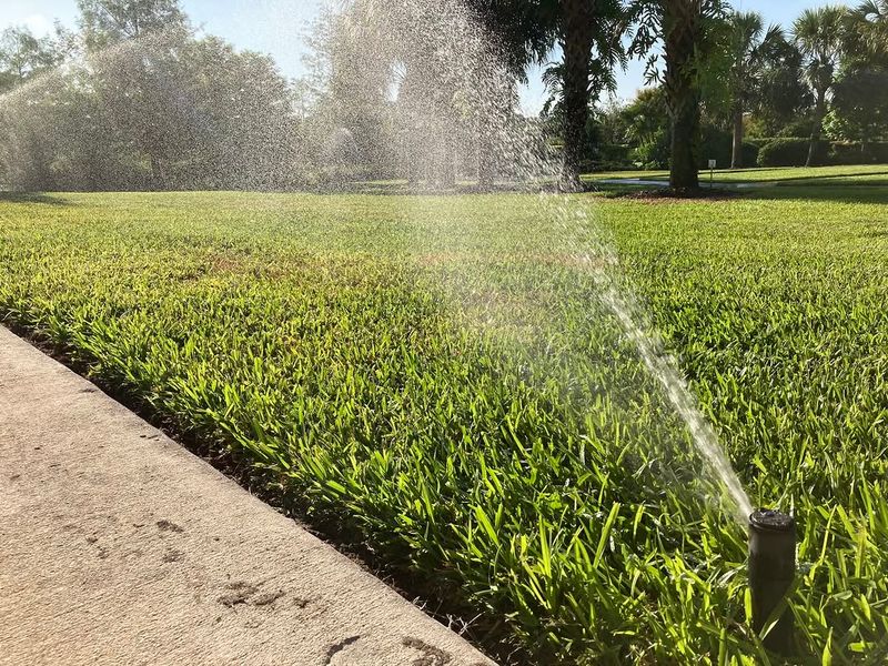 Summer Feeding Can Lead To More Water Demand Summer Feeding Can Lead To More Water Demand