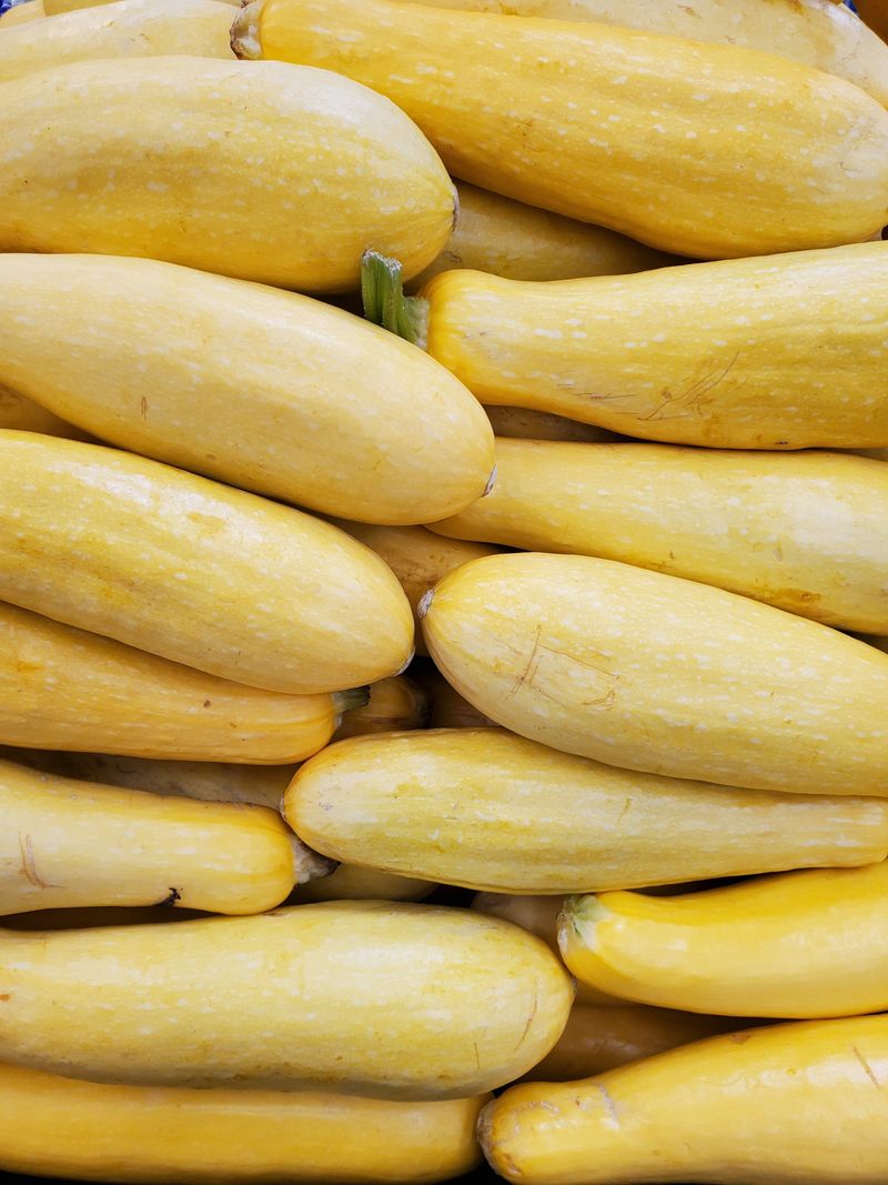 Summer Squash