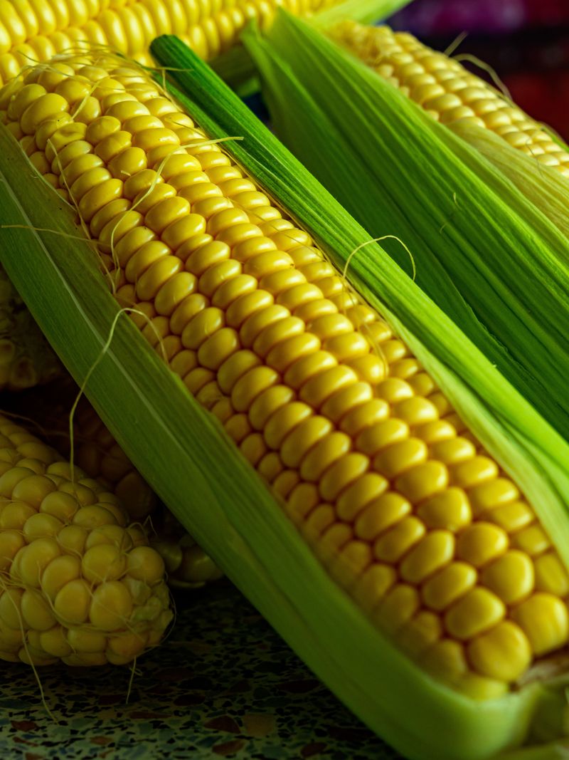 Sweet Corn