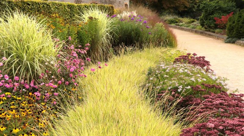 Tall Grass And Brushy Areas
