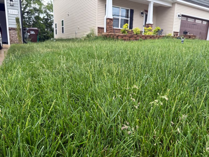 Taller Grass Conserves Moisture Taller Grass Conserves Moisture
