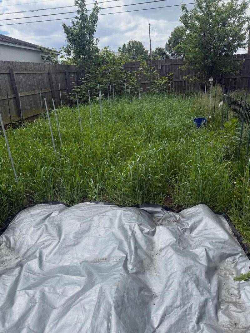 Tarps That Hold Hidden Puddles After Rain Tarps That Hold Hidden Puddles After Rain