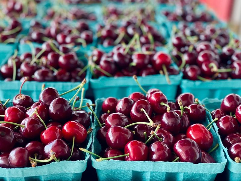 Tart Cherry