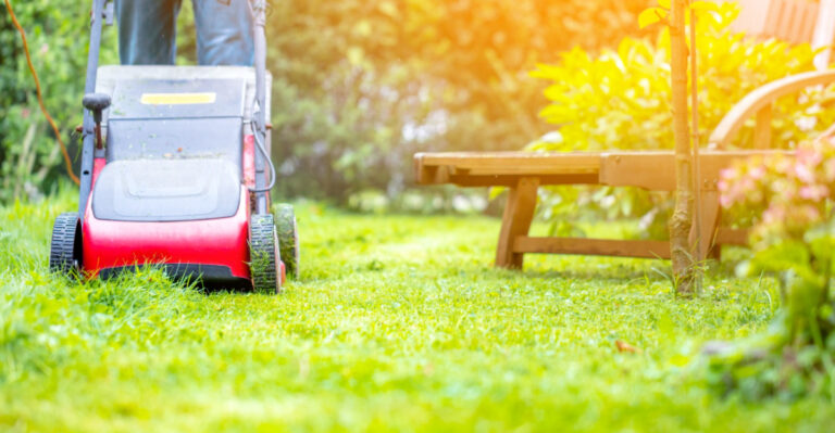 Tennessee Homeowners Should Complete These Tasks Before Summer Dormancy Hits