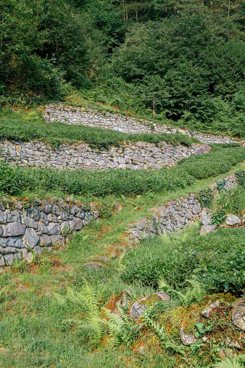 Terrace Sloped Yards To Slow Runoff