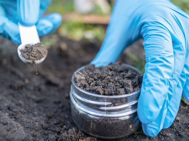 Test The Soil Before Adding Anything Else Test The Soil Before Adding Anything Else
