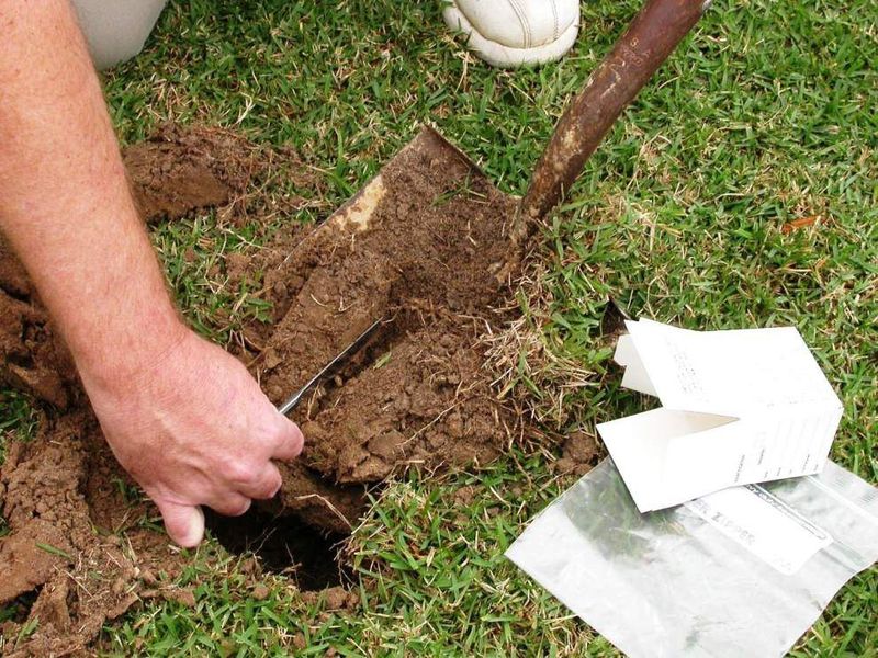 Test The Soil Before You Guess