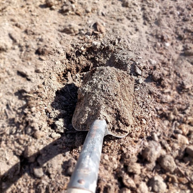 Test Your Illinois Clay Soil The Right Way Test Your Illinois Clay Soil The Right Way