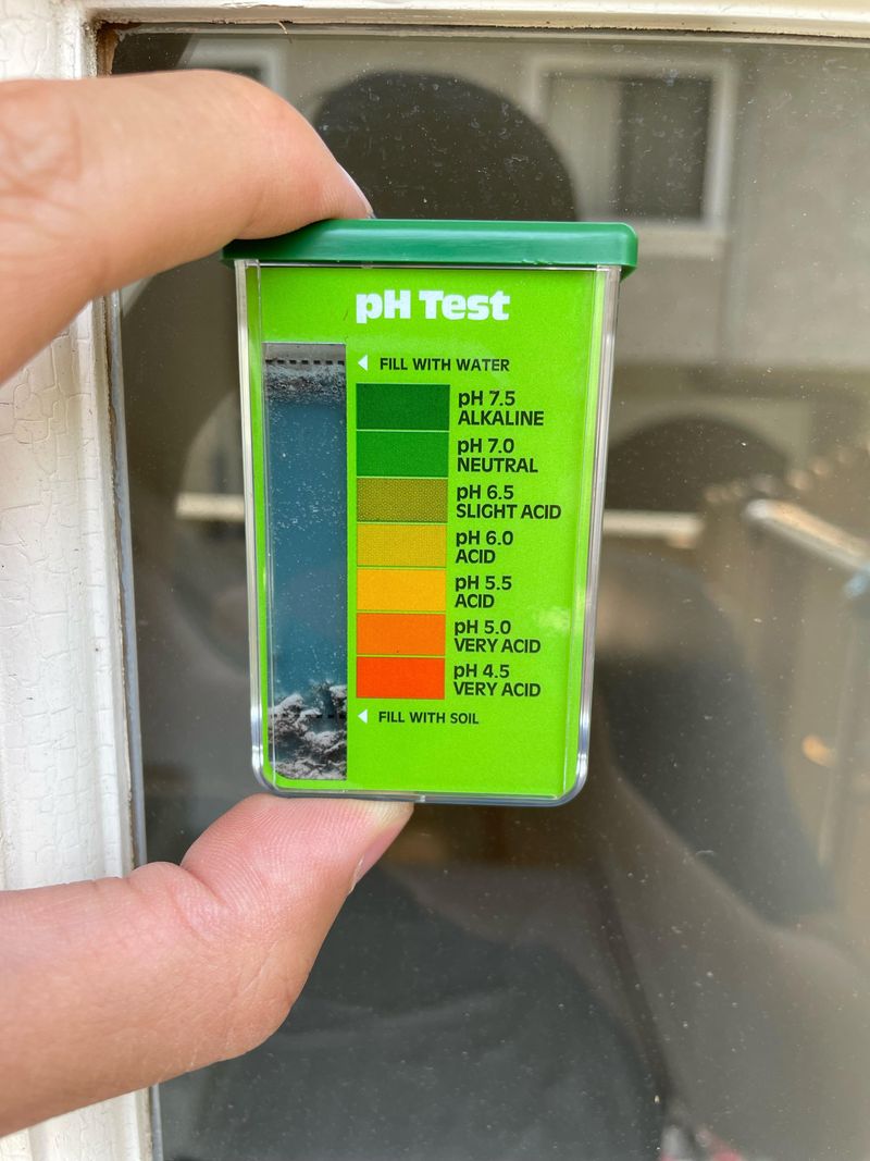Test pH Before Adding Anything Test pH Before Adding Anything