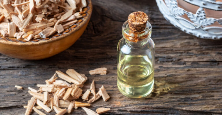 Texas Gardeners Can Help Keep Ticks Away With These 8 Essential Oils