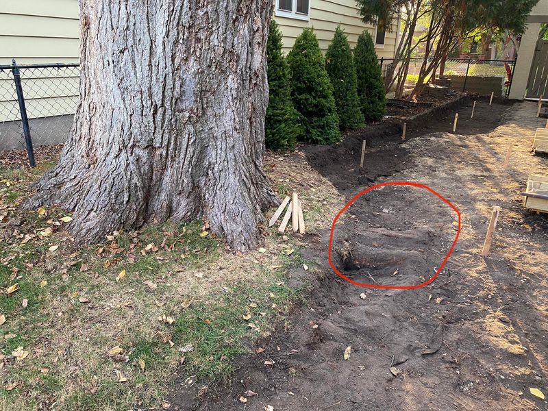 The Affected Neighbor Can Usually Cut Roots On Their Side The Affected Neighbor Can Usually Cut Roots On Their Side
