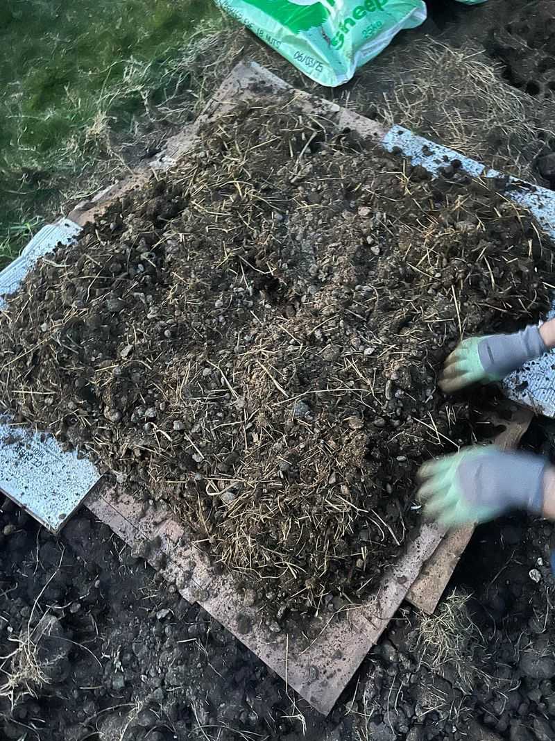 The Best Amendments For Illinois Clay Soil The Best Amendments For Illinois Clay Soil