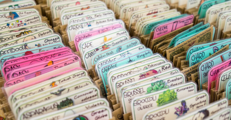 The Best California Seed Libraries Where Gardeners Get Free Seeds, Including Native Plants
