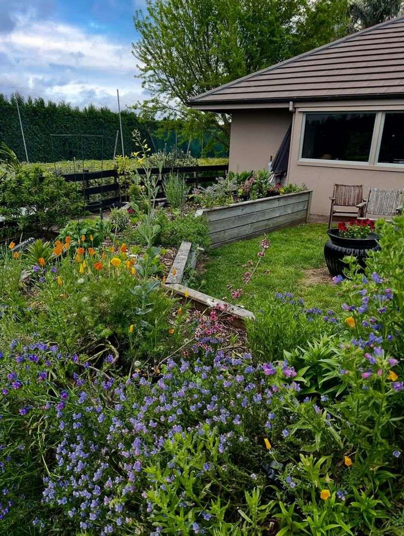 The Best Chaos Gardens Are Controlled Wildness