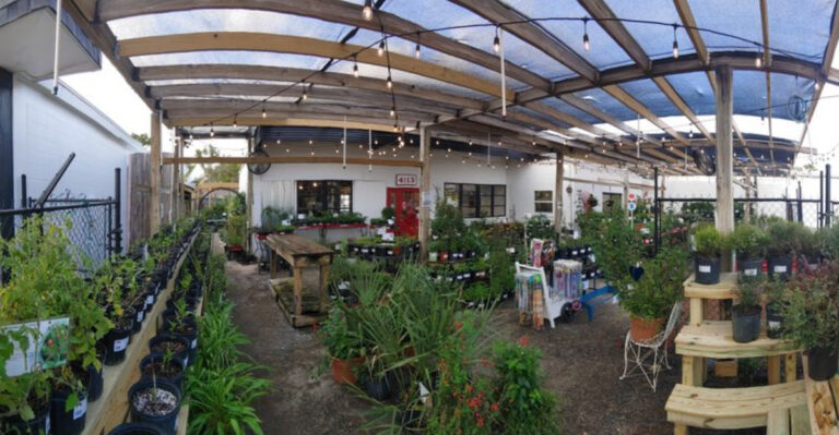 Little Red Wagon Native Nursery