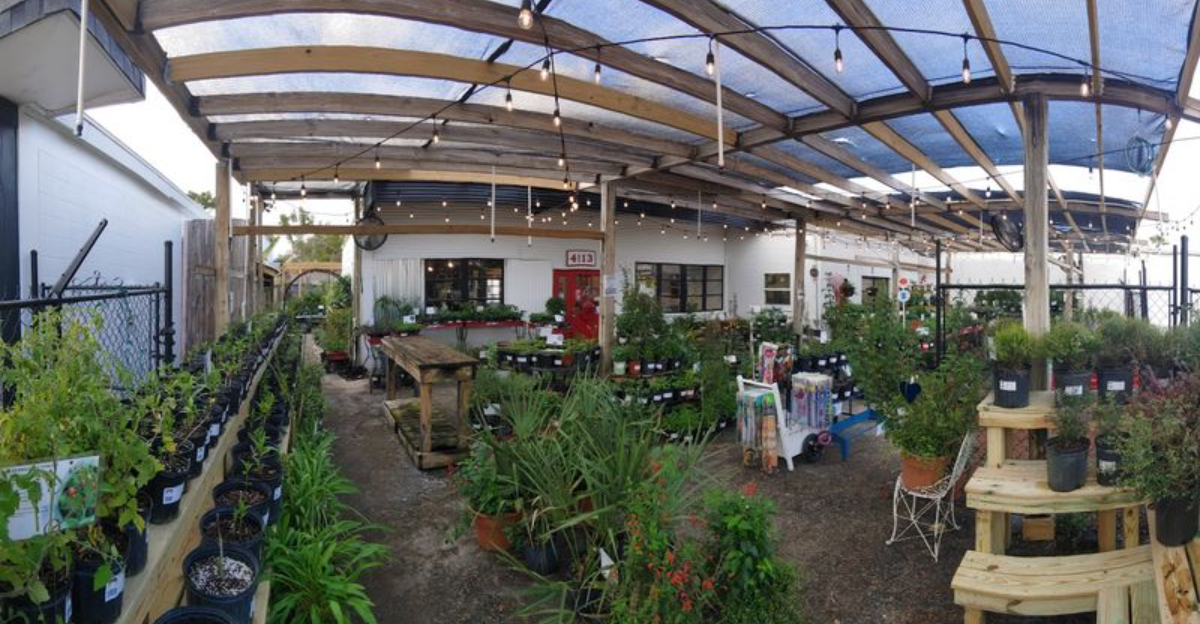 Little Red Wagon Native Nursery